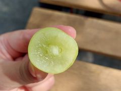 那̂ԂǂH[OIKOSւ̓eʐ^2