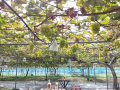 那̂ԂǂH[OIKOSւ̓eʐ^3