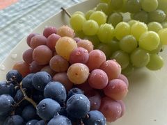 ꂢ炳̓Mόւ̓eʐ^2