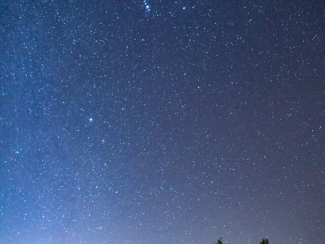 ������_�{�Ó������ۂ���