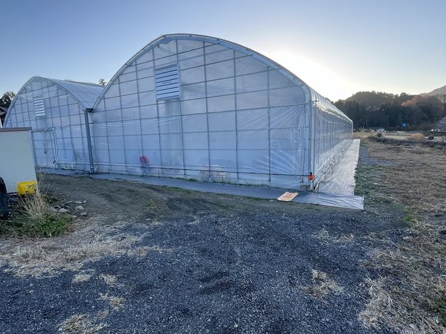 a_񂪍ŐV̋Zpō͔|Ă邱Ƃnɍs܂BhȃnEXłB_a_