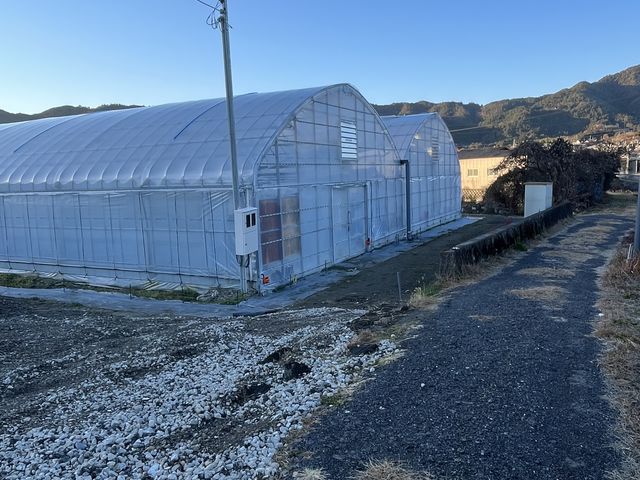 aɂ2C`S_͂Ȃ݂łB_a_