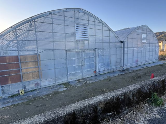 ԏAgĆAHrŊJ܂łɂ͊ԂɍłB_a_