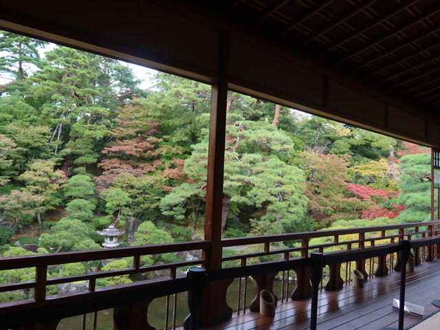 剮̓KLԂ뉀̒߁B_VsVƕʓ@