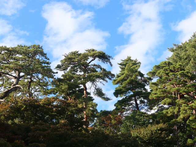 剮傫}c̑؂]ށB_VsVƕʓ@