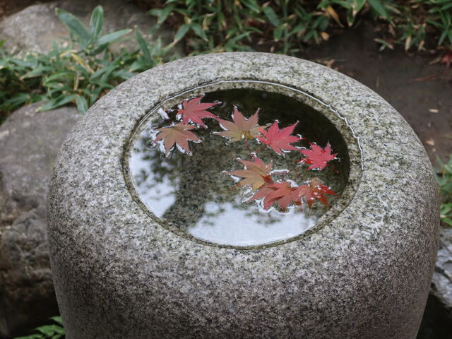 ̂΂ɕԍgtB_VsVƕʓ@