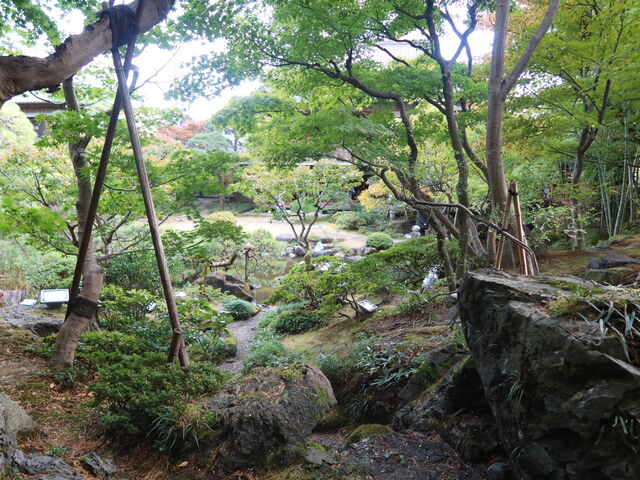 lt߂؂̊ԉzɎ剮]ށB_VsVƕʓ@