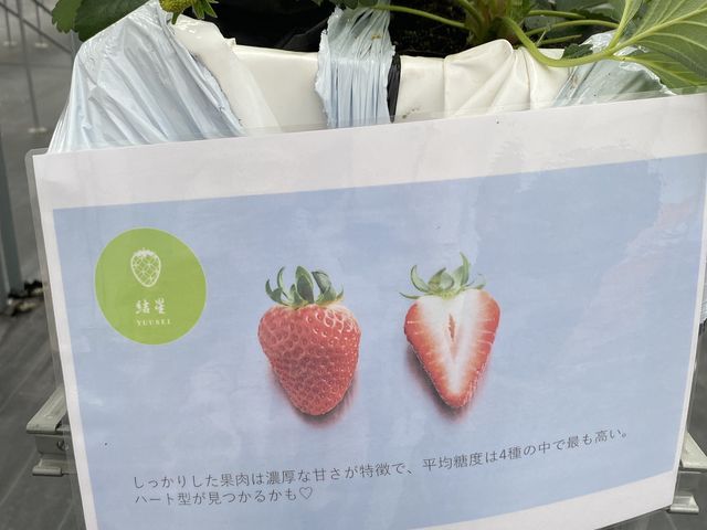 これが美味しかったです!_ロックファーム京都(あざといちごハウス)