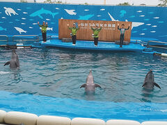 񂳂̐䂤݂̓mقւ̓eʐ^1