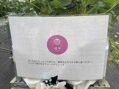 �Ȃ̂���̃��b�N�t�@�[�����s(�����Ƃ������n�E�X)�ւ̓��e�ʐ^2