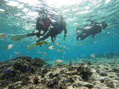 ̃}T[rXނʁ[ւ̓eʐ^1