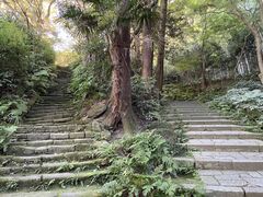 ��������񂳂�̃~���N���~�z�̊��q�U���c�A�[�ւ̓��e�ʐ^1