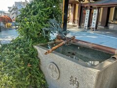 ��������̐��˓��Ƌ{�ւ̓��e�ʐ^1