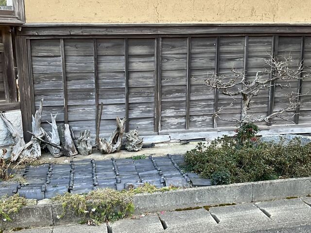 Shota����̋ʑ���Ղ̓��e�ʐ^1