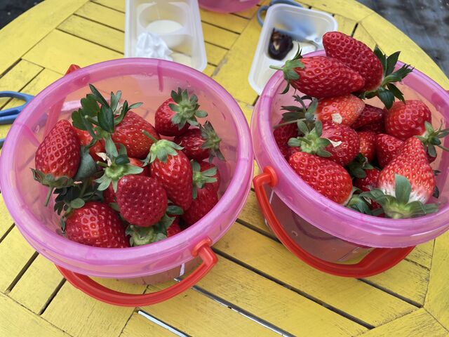 �o�P�c��n�ʂɒu���ăn�T�~�Ŏ}��؂�悤�ɐ����i�o�P�c�ɑ���䕂��Ԃ���ƒɂނƂ̎��j_�������̉���