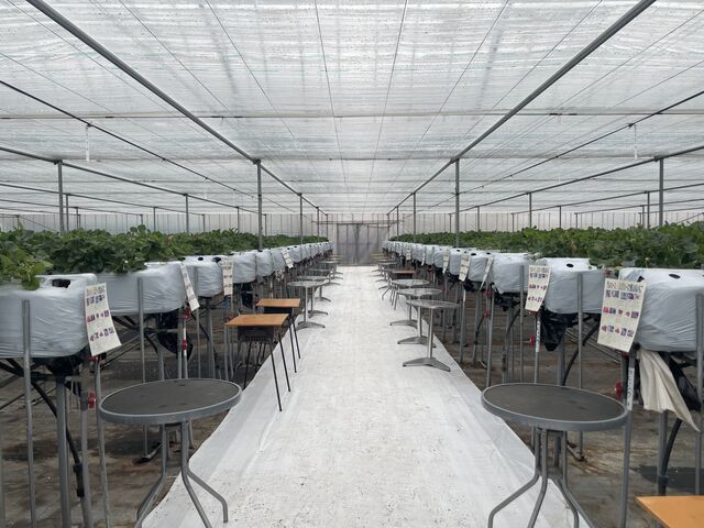 ��p�u�[�X������Ă���A��Ԃ̃e�[�u���œE�ݎ����䕂𗧂��ĐH�ׂ�X�^�C���ɂȂ�܂��B_�������̉���