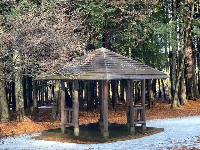 �z�K�̐X���R���� �x�m�p�C���Y�p�[�N_�z�K�̐X���R�����@�x�m�p�C���Y�p�[�N