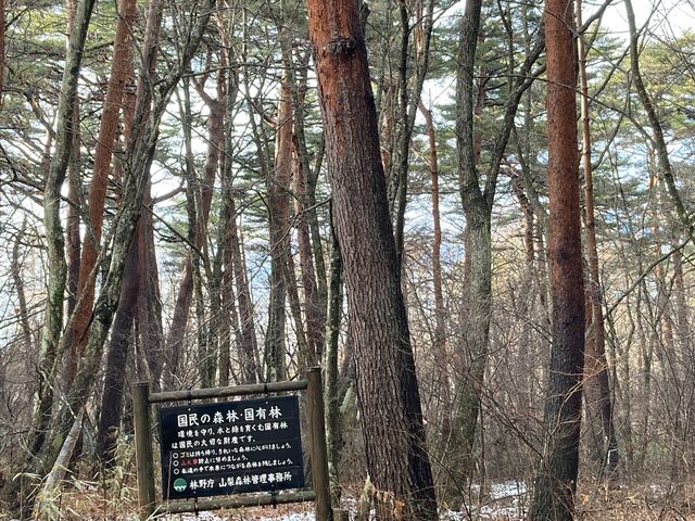 �z�K�̐X���R���� �x�m�p�C���Y�p�[�N_�z�K�̐X���R�����@�x�m�p�C���Y�p�[�N