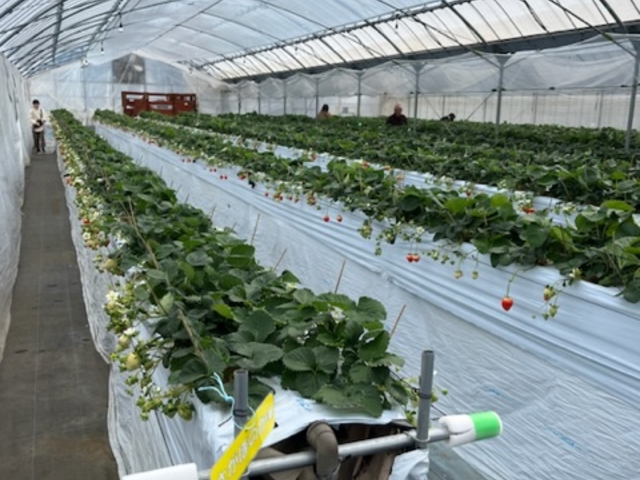 ���₷�������ɂ���܂�_���u�S�ԉ��t�@�[��