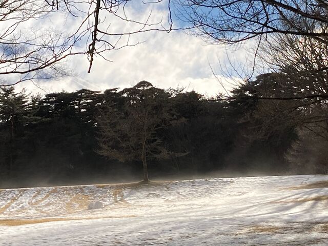 �z�K�̐X���R���� �x�m�p�C���Y�p�[�N_�z�K�̐X���R�����@�x�m�p�C���Y�p�[�N