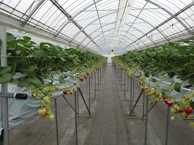 �Y��Ȕ_��_�c�������_��