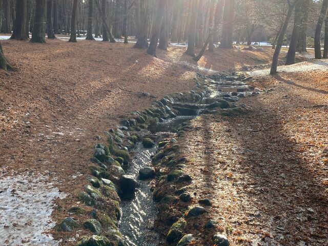 �z�K�̐X���R���� �x�m�p�C���Y�p�[�N_�z�K�̐X���R�����@�x�m�p�C���Y�p�[�N