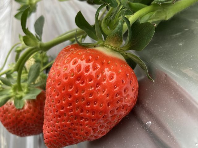 �ō��I�I_�������_���@��t�@�[��