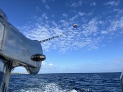 肢񂳂̋{ÓpZ[O all good marine 385ւ̓eʐ^1