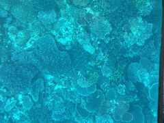 ȂȂ̐약}T[rXւ̓eʐ^1