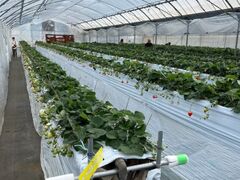 񂳂̍uSԉt@[ւ̓eʐ^2