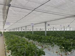 keî_sAbc@ւ̓eʐ^1