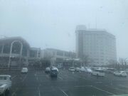 EbL[̃nCh][g ze&Xp̓eʐ^1