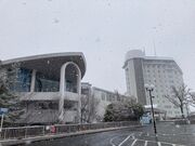 EbL[̃nCh][g ze&Xp̓eʐ^1