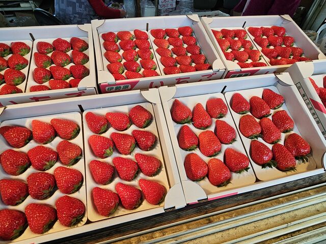 �������䕂ł��I_�쓇��������