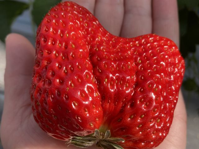 ���劮�n������������_�����ό��A�O���X�l����