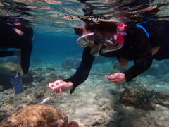 񂳂̐̓A@Dive@ւ̓eʐ^1