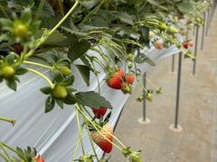 8823́yɐzƂւ̓eʐ^1