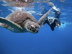 �悤����񂳂�̐Ί_���}�����T�[�r�X�߂̉��Ԃ��ւ̓��e�ʐ^1