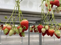 ���Ȃ肳��̂f���������a���������ւ̓��e�ʐ^1