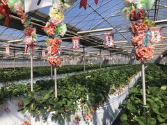 ݂ǂ݂ǂ̃zeBL˂ւ̓eʐ^1