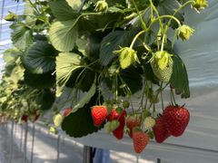 yumijoumonfarmi傤ӂ[ށjւ̓eʐ^1