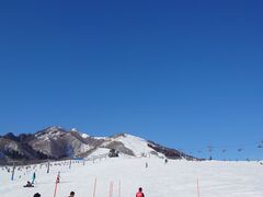 񂳂̊⌴XL[ւ̓eʐ^1