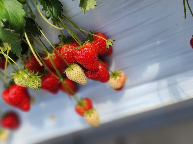 �^���ԂȂ���������������Ȃ��Ă܂���_�����݂̗��������̉�