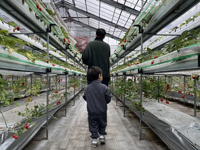 ���q�̓C�`�S�����g�}�g���ɕK���ł���_�����o�v�_��