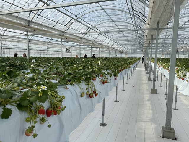 �ڐ��̍����ł݂₷�������ł��B_�_���N�o���Y�t�@�[��