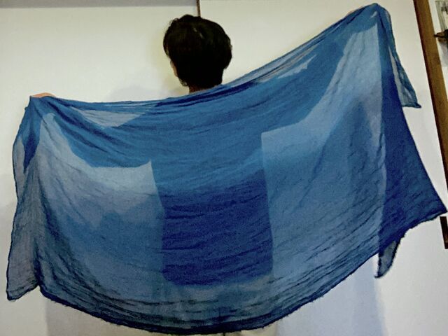 �{�����[�������Ղ�ŕ\��L��_(��)���� ���v���W�F�N�g