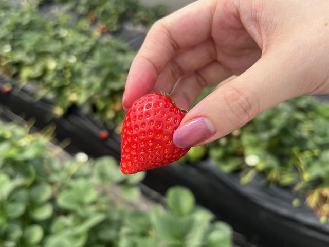 �^���Ԃŉ��₩�ȂƂ�������_J�`�͂��� �v�q�ό��������c�n