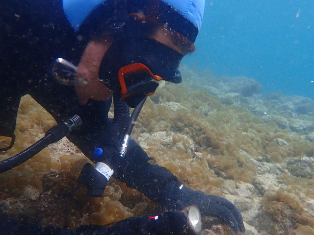 �~�ł��X�m�{�[��芦���Ȃ������ł��I_�_�C�r���O�X�N�[��WITH�R��