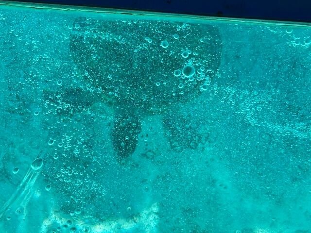 �K���ŎB�����J��_tome cruise