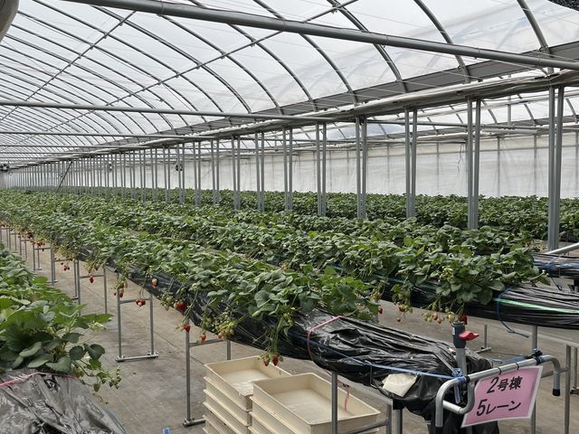 L[łAo܂B_IAVXt@[ԓ{